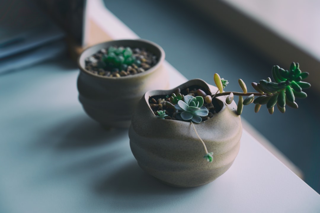 Creative Ways to Use Pots Beyond Traditional Gardening
