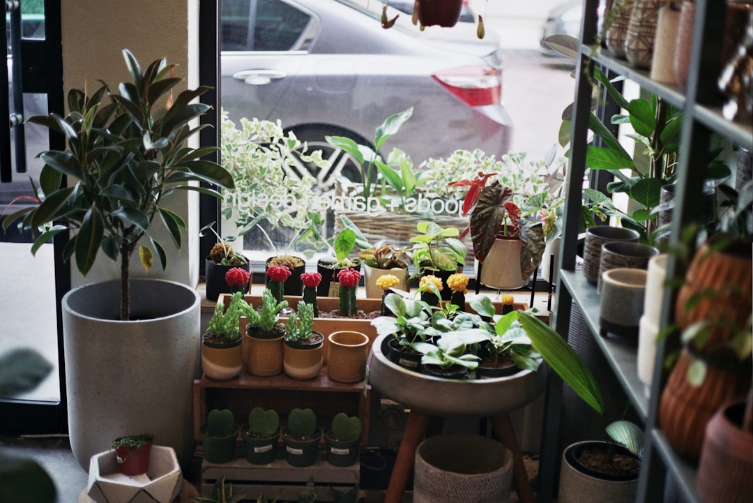 Finding the Best Pots for Your Home: Tips and Tricks